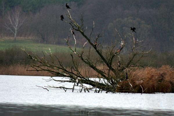 Killikus&reg; Fotographie